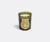 Trudon Candlelight And Scents Green Uni In Green