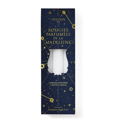 Trudon Christmas Tree Taper Candles In Blue