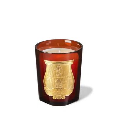 Trudon Cire Classic Candle In Brown