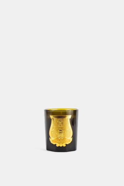 Trudon Empire Candle In Green