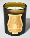 Trudon Ernesto Leather & Tobacco Candle, 9.5 Oz. In Green