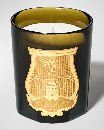 Trudon Ernesto Classic Candle, Leather And Tobacco In Green