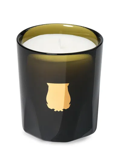 Trudon Ernesto Leather & Tobacco In Green