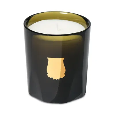Trudon Ernesto Petit Candle, Leather And Tobacco, 2.5 Oz. In Green
