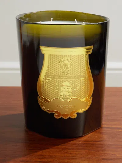 Trudon Ernesto Tobacco And Leather Scented Candle, 2.8kg In Green