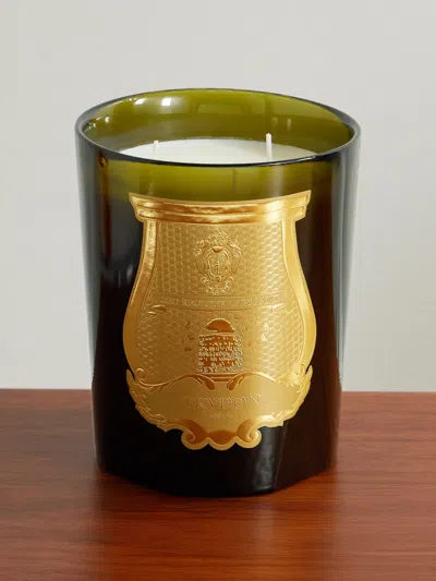 Trudon Ernesto Tobacco And Leather Scented Candle, 800g In Green