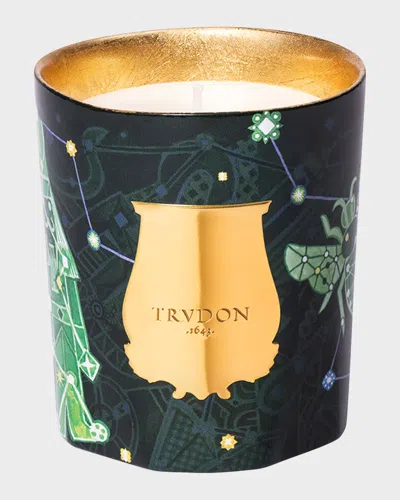 Trudon Fir Candle 9.5 Oz. In Green