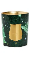 Trudon Fir Candle Christmas Tree In Green