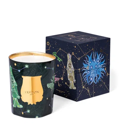 Trudon Fir Candle In Green