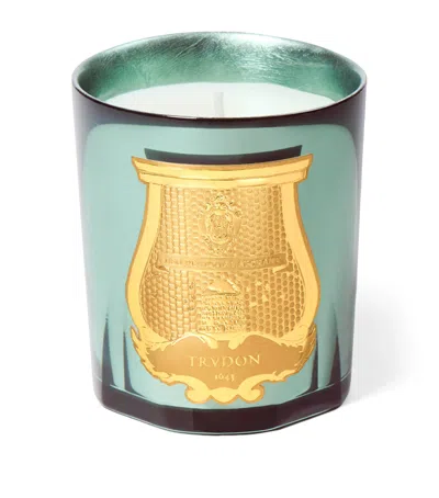 Trudon Fir Candle In Animal Print
