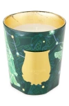 Trudon Fir Christmas Tree Scented Candle In Green