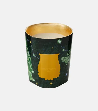 Trudon Fir Classic Scented Candle