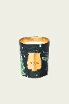 Trudon Fir Classique Candle 270g In Multi