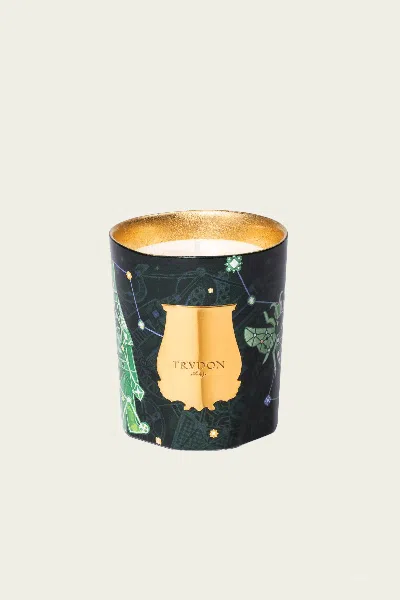 Trudon Fir Classique Candle 270g In Multi