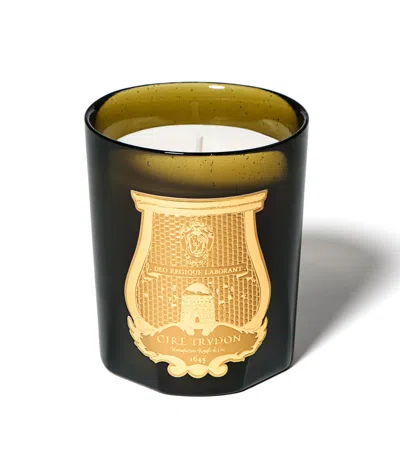 Trudon Gabriel Candle In Green