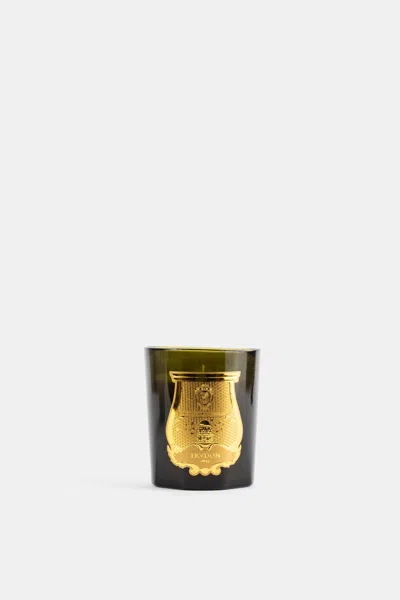 Trudon Gabriel Candle In Green