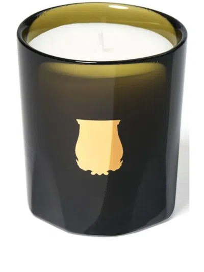 Trudon Gabriel Petite Scented Candle (70g) In Green