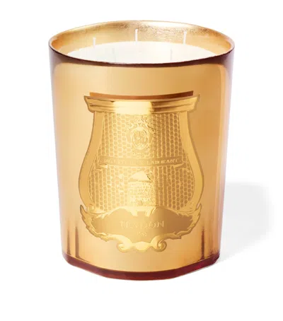 Trudon Galerie Des Flammes Candle In Multi