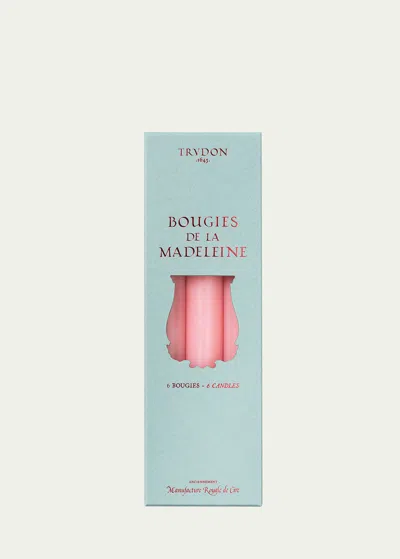 Trudon Madeleine Pink Taper Candles, Set Of 6 In White
