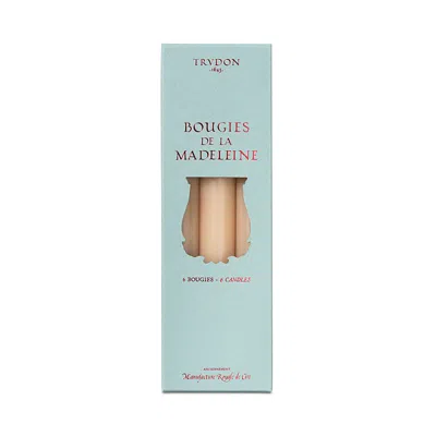 Trudon Madeleine Taper Candles, Box Of 6