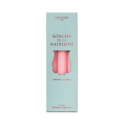 Trudon Madeleine Taper Candles, Box Of 6