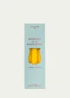 Trudon Madeleine Yellow Taper Candles, Set Of 6