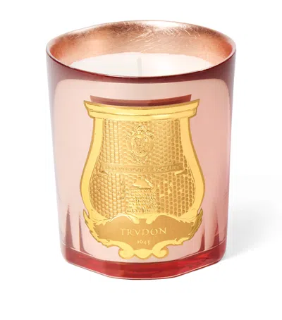Trudon Nazareth Candle In Animal Print
