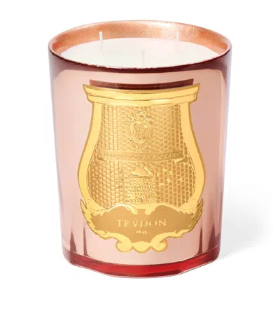 Trudon Nazareth Candle In Animal Print