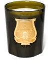 Trudon Scented Candle (270g) In Green