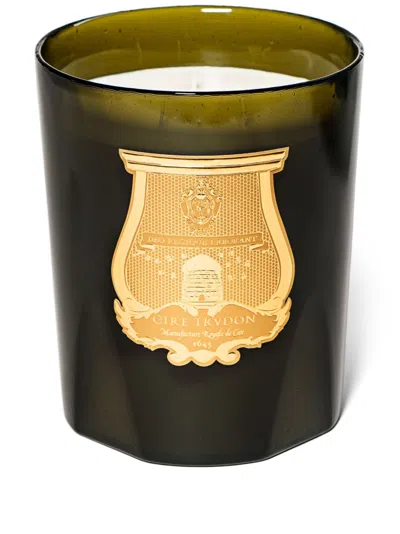 Trudon Scented Candle (270g) In Green