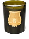 Trudon Scented Candle (3kg) In Green
