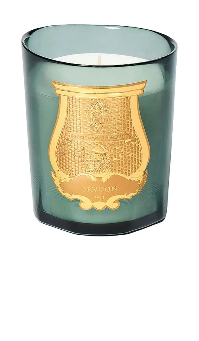 Trudon Scented Candle Figuerie 270g In Green