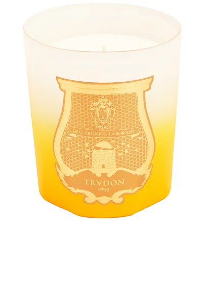 Trudon De Oro Candle In Isla De Oro