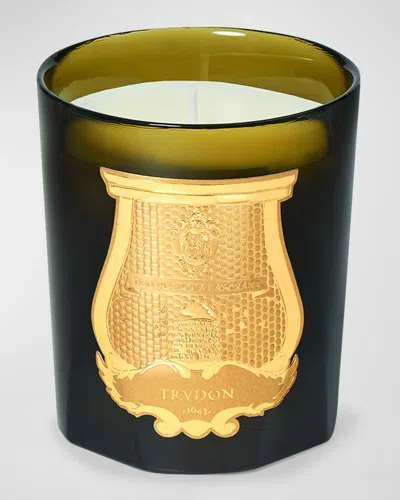 Trudon Solis Rex Classic Candle - Versailles & Apos; Wooden Floors, 9.5 Oz.