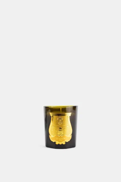 Trudon Spiritus Sancti Candle In Multi