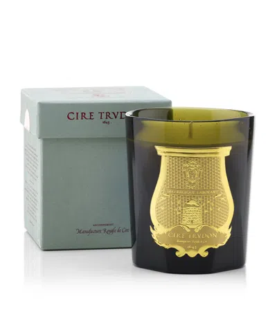 Trudon Spiritus Sancti Candle In Green