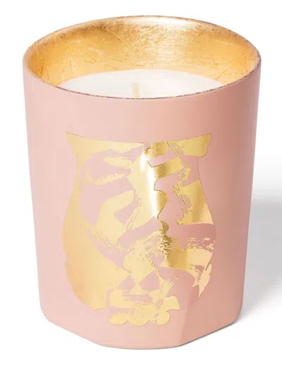 Trudon X Maître Tseng Pink Sous Un Ciel De Pétales Classique Scented Candle In Tseng Ciel Petale