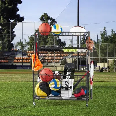 True & Tidy Garage Sports Equipment Organizer With Wheels