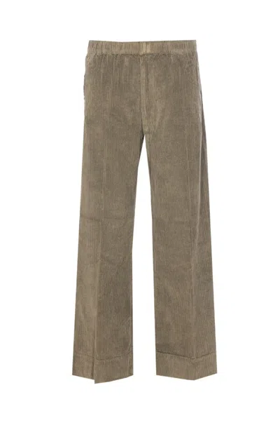 True Avenue Pantsshorts In Green