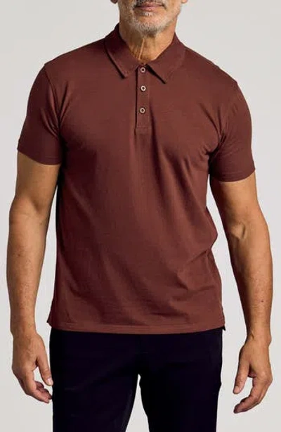 True Classic Polo In Dark Chocolate