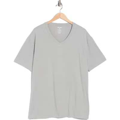 True Classic Short Sleeve V-neck T-shirt In Gray