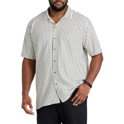 True Nation By Dxl Big & Tall Striped Camp Shirt In White