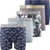 True Religion Kids'  Boxer Briefs Pack Of 5 In Blue