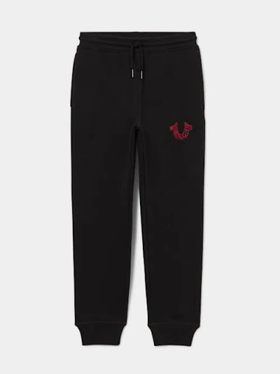 True Religion Boys Embroidered Registered Horseshoe Jogger