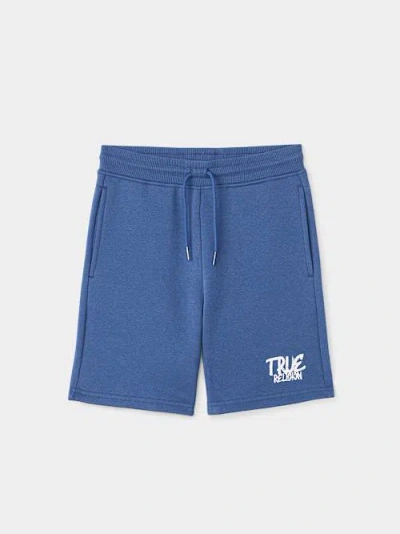 True Religion Boys Sketchbook Short In Blue