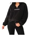 True Religion Sherpa Logo Half-zip Pullover In Black
