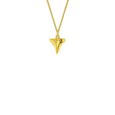 True Rocks Men's Mini Sharks Tooth Pendant 18kt Gold-plated