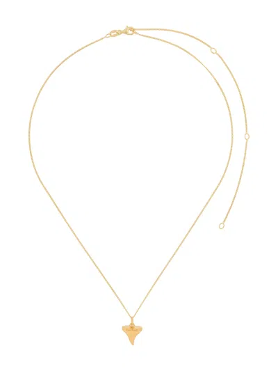 True Rocks Shark Tooth Pendant Necklace In Gold