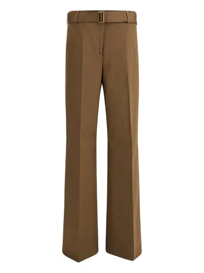 True Royal Niky Pants In Brown