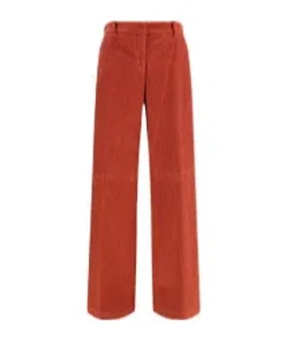 True Royal Nicky Trousers In Brown